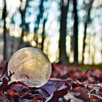 2019-01-20 143418 2019-01-20 143418 a7ii-DSC07455 reedit