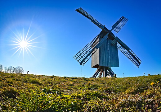 2020-03-22 170906 2020-03-22 170906 a7ii-DSC07942 edit