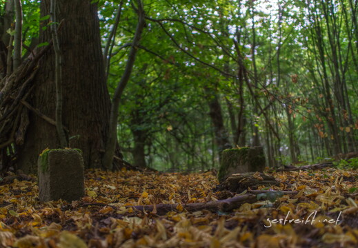 de kiel-tannenberger wald 05 2016-09-17 fattal 50 mantiuk06