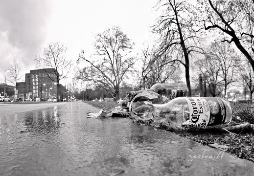 2026-02-22 185242 a7iii-DSC09391-bw