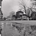 2026-02-22 185516 a7iii-DSC09392-bw