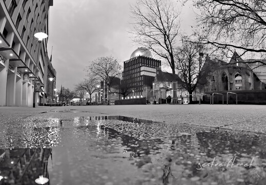 2026-02-22 185516 a7iii-DSC09392-bw