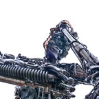 2020-01-26 144704 a7ii-DSC07182