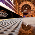 2026-03-12 220135 a7iii-DSC09530