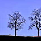 2020-03-15 195505 a7ii-DSC07852
