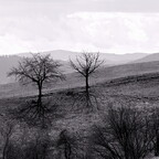 2026-03-29 134330 a7iii-DSC09881-bw