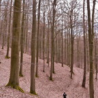 2026-04-02 143746 a7iii-DSC00031