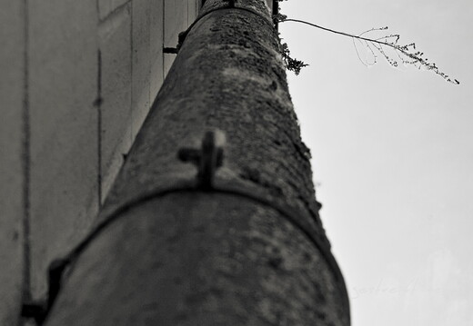 Tours